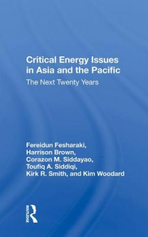 Critical Energy Issues In Asia And The Pacific