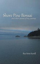 Shore Pine Bonsai