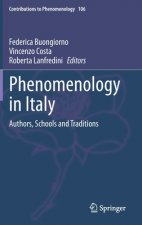 Phenomenology in Italy