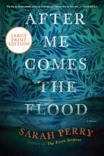 After Me Comes the Flood