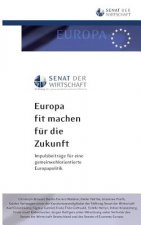 Europa fit machen fur die Zukunft