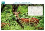 Planer tygodniowy Chital Deer