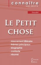 Fiche de lecture Le Petit chose de Alphonse Daudet (Analyse litteraire de reference et resume complet)