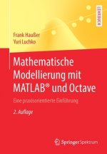 Mathematische Modellierung Mit Matlab(r) Und Octave