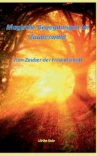 Magische Begegnungen im Zauberwald