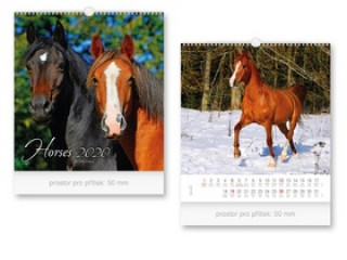 Malý Horses - nástěnný kalendář 2020
