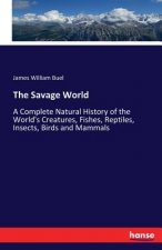 Savage World