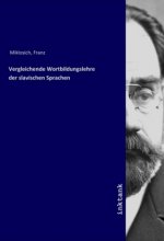 Vergleichende Wortbildungslehre der slavischen Sprachen