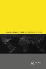 Remotely-Sensed Cities