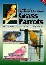 Neophema and Psephotus Grass Parrots