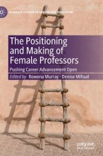Positioning and Making of Female Professors