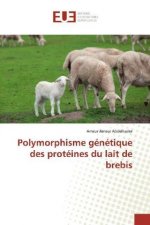 Polymorphisme génétique des protéines du lait de brebis