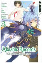 Akashic Records of the Bastard Magic Instructor 03