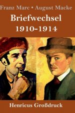 Briefwechsel 1910-1914 (Grossdruck)