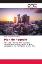 Plan de negocio