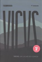 VICVS