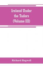 Ireland under the Tudors; with a succinct account of the earlier history (Volume III)
