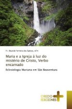 Maria e a Igreja a luz do misterio de Cristo, Verbo encarnado