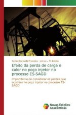 Efeito da perda de carga e calor no poço injetor no processo ES-SAGD