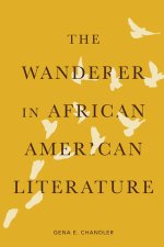 Wanderer in African American Literature
