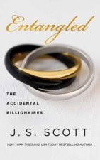 Entangled: The Accidental Billionaires