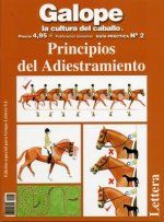 Principios del Adiestramiento