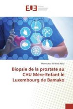 Biopsie de la prostate au CHU M?re-Enfant le Luxembourg de Bamako