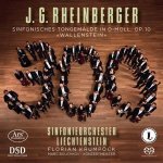 Sinfon.Tongemälde in d-moll,op.10 