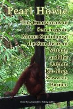 Orangutans of Semenggoh, Mount Santubong, the Sun Bears of Matang and the Rain in Kuching, Sarawak, Borneo