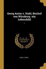 Georg Anton V. Stahl, Bischof Von Würzburg: Ein Lebensbild: 1