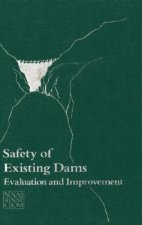 Safety of Existing Dams: Evaluation and Improvement