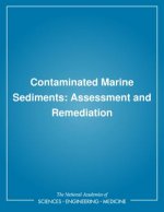 Contaminated Marine Sediments: Assessment and Remediation