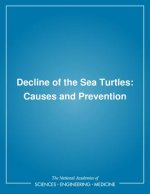 Decline of the Sea Turtles: Causes and Prevention