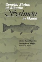 Genetic Status of Atlantic Salmon in Maine: Interim Report from the Committee on Atlantic Salmon in Maine