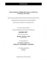 Federal Statistics, Multiple Data Sources, and Privacy Protection: Next Steps