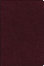 NIV, Biblical Theology Study Bible, Bonded Leather, Burgundy, Indexed, Comfort Print: Follow God's Redemptive Plan as It Unfolds Throughout Scripture