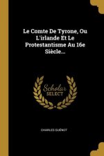 Le Comte De Tyrone, Ou L'irlande Et Le Protestantisme Au 16e Si?cle...