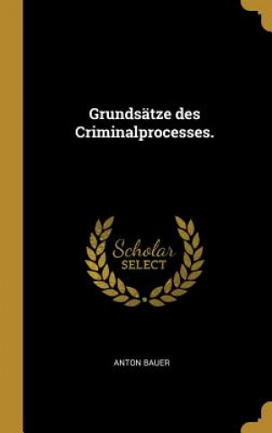 Grundsätze Des Criminalprocesses.
