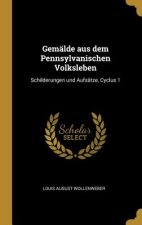 Gemälde Aus Dem Pennsylvanischen Volksleben: Schilderungen Und Aufsätze, Cyclus 1