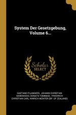 System Der Gesetzgebung, Volume 6...