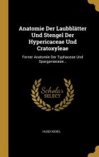 Anatomie Der Laubblätter Und Stengel Der Hypericaceae Und Cratoxyleae: Ferner Anatomie Der Typhaceae Und Sparganiaceae...