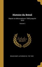 Histoire du Brésil: Depuis sa découverte en 1500 jusqu'en 1810; Volume 3
