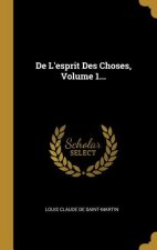 De L'esprit Des Choses, Volume 1...