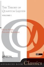 Theory Of Quantum Liquids
