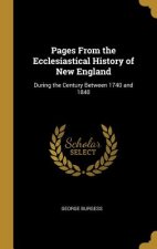 Pages From the Ecclesiastical History of New England: During the Century Between 1740 and 1840