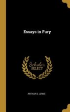 Essays in Fury