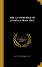 Life Histories of North American Shore Birds