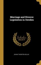 Marriage and Divorce Legislation in Sweden
