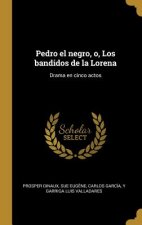 Pedro el negro, o, Los bandidos de la Lorena: Drama en cinco actos