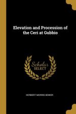 Elevation and Procession of the Ceri at Gubbio